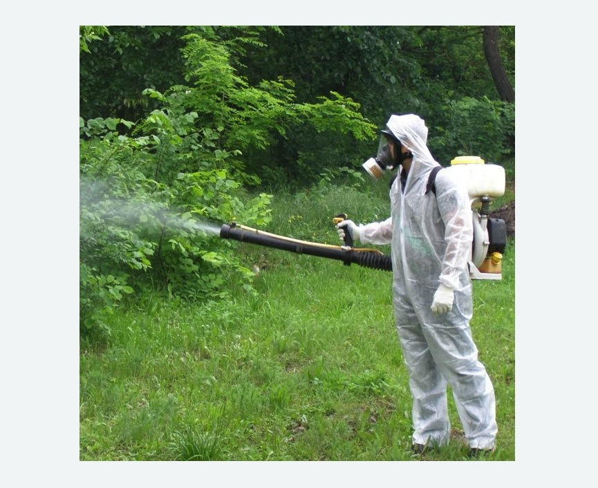 обработка территории от клещей в Яранске