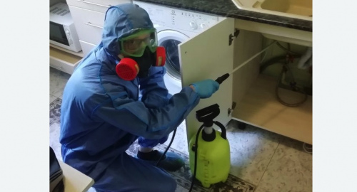 Уничтожение муравьев в квартире. Яранск