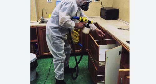 Уничтожение насекомых в квартире. Яранск