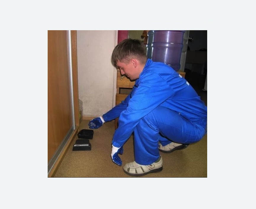 Дератизация крыс в Яранске