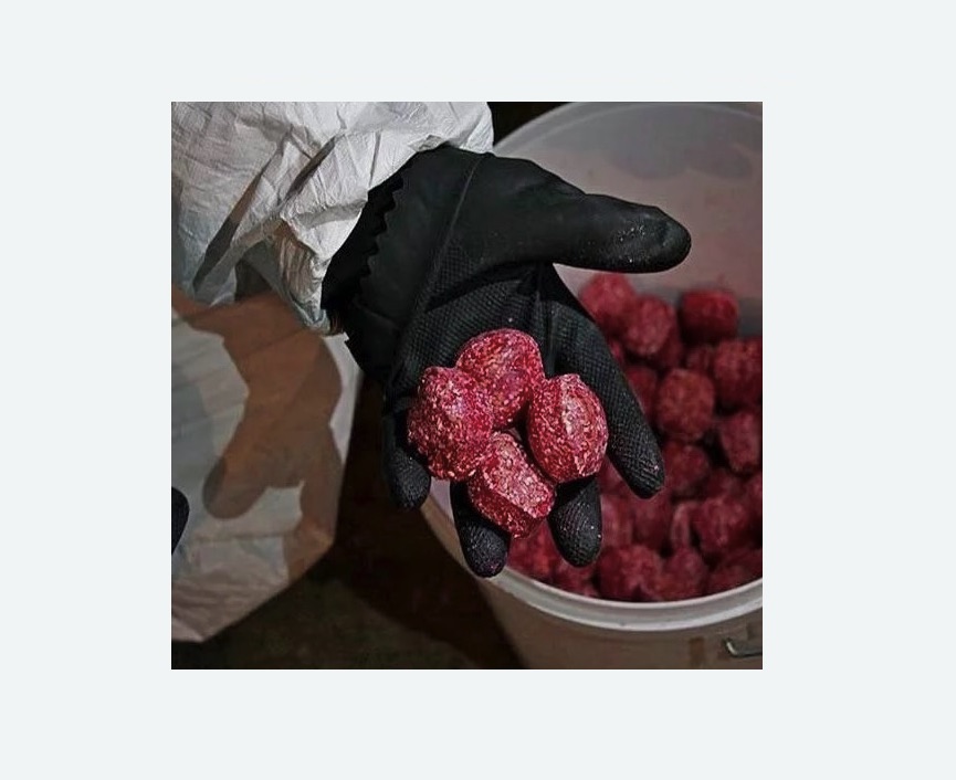 Обработка от крыс в Яранске