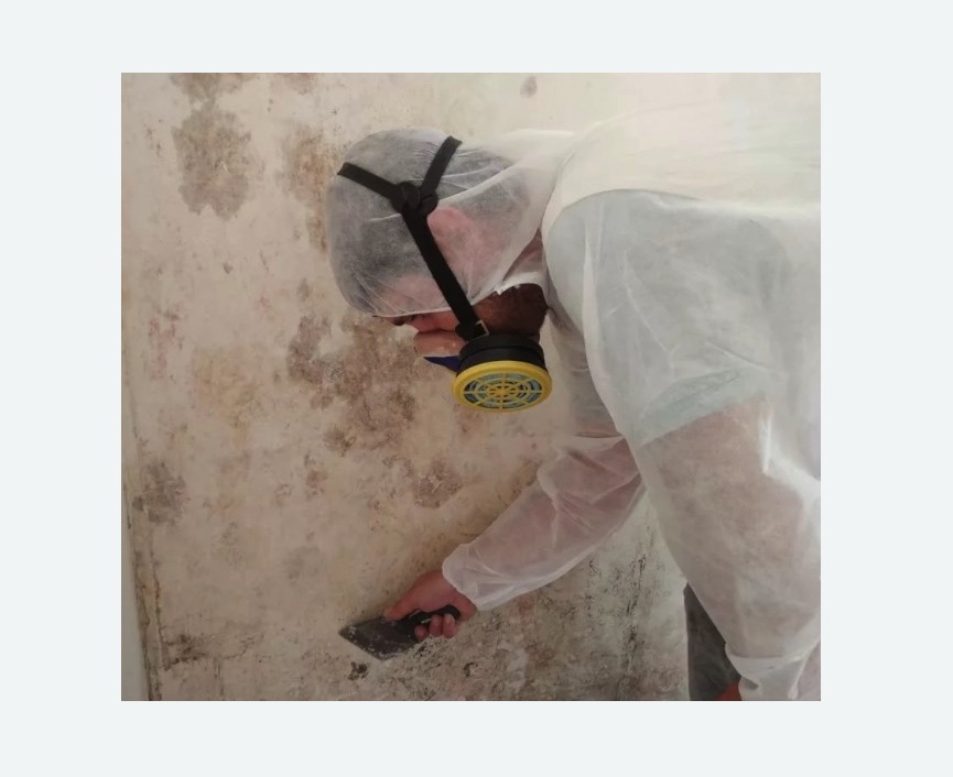 Обработка стен от плесени в Яранске