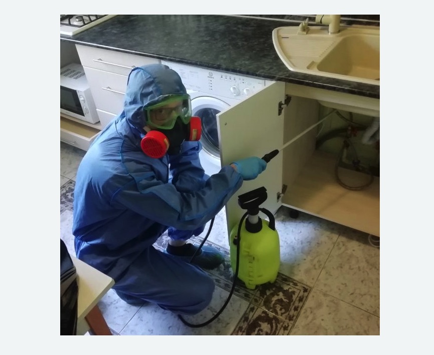 обработка от муравьев в квартире в Яранске